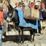 Mardin’in simgesi ‘Çöp Eşeklerin’ görevleri sona eriyor