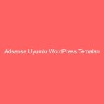 Adsense Uyumlu WordPress Temaları
